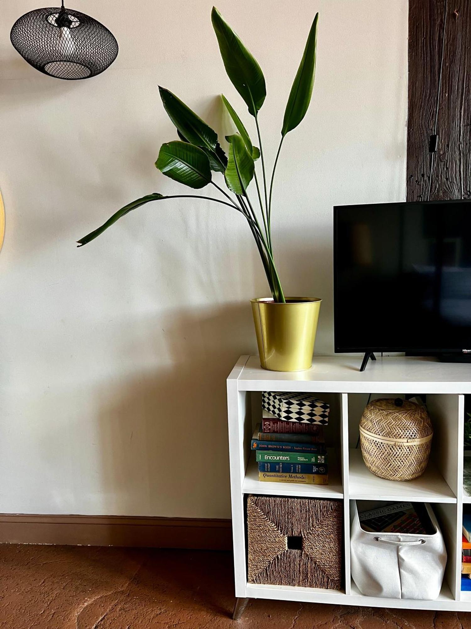 420 Friendly Boho Loft Downtown King Suite Free Parking Детройт Екстериор снимка